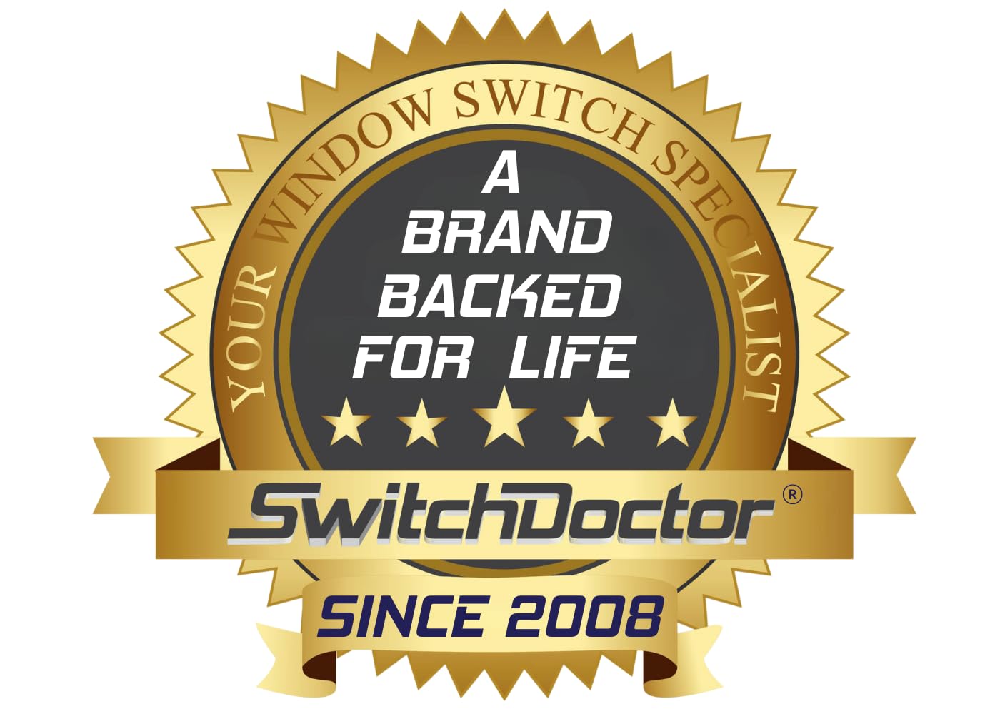 SWITCHDOCTOR Window Master Switch compatible with 2015-2020 F-150 (With Power Folding Mirrors)